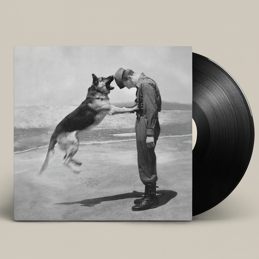 Double LP